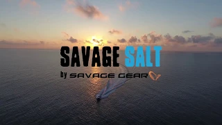 Savage Salt  - 3D Needlefish - EFTTEX Teaser