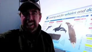 Matt Brierley joins ORCA surveying whales and dolphins