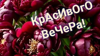 И снова вечер💜 Пусть он будет наполнен счастьем ♥️😊Доброго вечера 💙💞