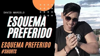 Esquema Preferido - Dj Ivis, Tarcísio do Acordeon | (Vídeo Curto)