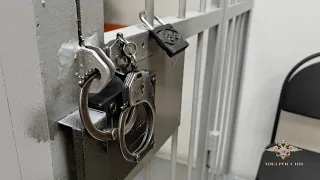 Полицейские из Мурманска задержали женщину, подозреваемую в мошенничестве в отношении детей