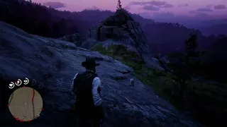 One of the INSANELY REALISTIC DETAILS: A Wolf's Escape in Red Dead Redemption 2.