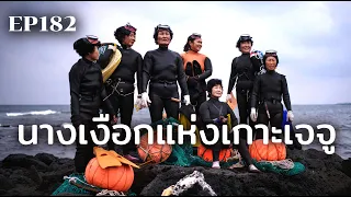 “แฮนยอ” นางเงือกแห่งเกาะเจจู | ร้อยเรื่องรอบโลก EP182