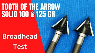 TOOTH of the ARROW 1" SOLID 100 gr & 125 gr BROADHEAD TEST--2 of the Best in 2022