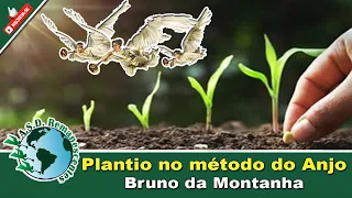 Plantio no Método do Anjo - Bruno da Montanha