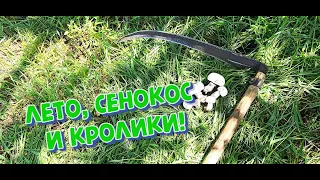 ЛЕТО!ПЕРВЫЙ ПОКОС! ОКРОЛЫ!Жизнь в деревне!Беларусь!