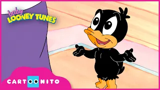 Baby Looney Tunes | Bad Words | Cartoonito UK