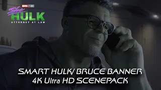 All Smart Hulk / Bruce Banner 4K ULTRA HD Scenes SCENEPACK | She-Hulk (Episode 2)