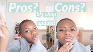 Pros and Cons of Big Chopping/Shaving Your Head|| 3 week update