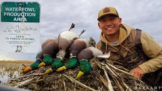 My Best SOLO PUBLIC LAND Duck Hunt EVER! (Limit of Greenheads!)