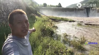 水库防汛河水暴涨，小伙深入无人区钓大鲶鱼，这场景没见过太震撼