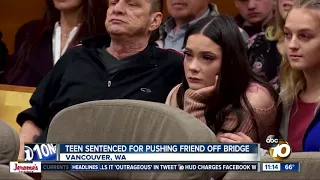 Teen sentenced for pushing friend off bridge
