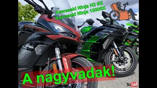 Kawasaki Ninja H2 SX & Kawasaki Ninja 1000SX 40th Anniversary Edition | Fotelmotoros