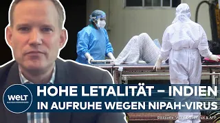 NIPAH-VIRUS: Neuer Ausbruch in Indien – Was ist es und wie gefährlich kann es werden? | WELT Thema