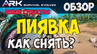 ARK Survival Evolved ПИЯВКА Обзор. Как снять пиявку?