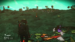 Странные животные в No Mans Sky