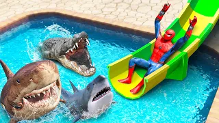 GTA 5 Water Slides | Crocodile, Megalodon, Tiger Shark vs SPIDERMAN (Ragdolls/Euphoria Physics)