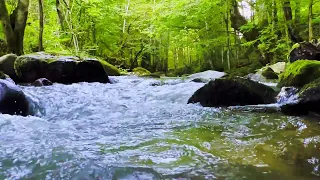 4K HDR Relaxing mountain river with healing natural sound