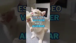 ESSE VÍDEO VAI FAZER VOCÊ ALUCINAR - Ilusão de ótica