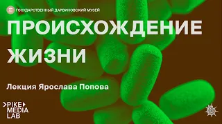 Онлайн-лекция Ярослава Попова "Происхождение жизни" | Дарвиновский музей