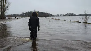 Hochwasser - Meldestufe 3 an der Aller in Niedersachsen