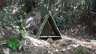 Build a Shelter Before Dark - Forest Survival - Camping In The Wood, LIVING OFF GRID