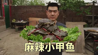 【食味阿远】900多弄了20只小甲鱼，阿远做“麻辣小甲鱼”吃，喝着小酒嘎嘎香 | Shi Wei A Yuan