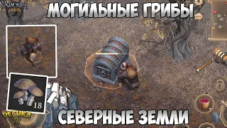 СЕВЕРНЫЕ ЗЕМЛИ И МОГИЛЬНЫЕ ГРИБЫ! СЕВЕРНАЯ ЛОКАЦИЯ ПЯТЬ ЧЕРЕПОВ! - Grim Soul: Dark Fantasy Survival