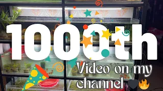 1000th Video Special: Journey Recap Part 1 | Milestone Celebration