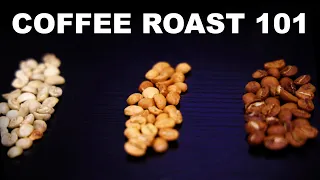 Light roasts vs. dark roasts | Coffee basics and science explained