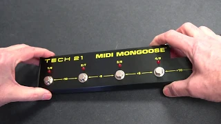 Tech 21 MIDI Mongoose  Battery Installation