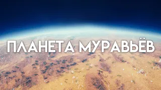 АНТИПОДЫ: Другая Земля — Муравьи