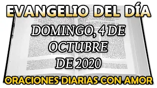 Evangelio del día Domingo, 4 de Octubre de 2020 - Arrendará la viña a otros labradores