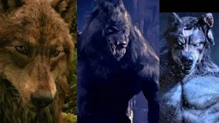 Van Helsing e Jacob Black e Shape-Shifters (AMV) without you