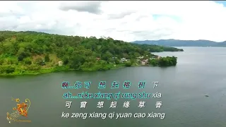 Rong Shu Xia (榕树下) Male Version - Karaoke mandarin with drone view