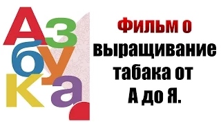 Фильм о выращивании табака от А до Я. ТАБАК.