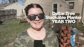 Dollar Tree Stackable Planter - YEAR TWO UPDATE!