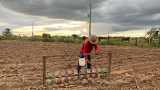 PLANTADEIRA DE MILHO FEITA DE GARRAFAS PETS (como fazer)