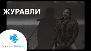 Сергей Родня   Журавли   Видеоклип