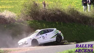 Rallye des Vignes de Régnié 2024 - Show & Mistakes