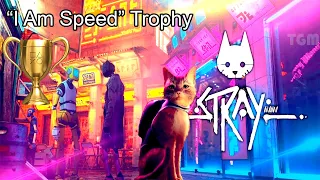 Stray - I am Speed Trophy - Complete the game in less than 2 hours | PS4 PS5 PC