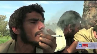 Drug Smuggler arrest in Khost Afghanistan - VOA Ashna