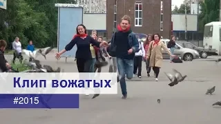 Клип вожатых 2015