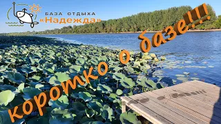 База отдыха "Надежда" - коротко о базе!!!  #fishing #рыбалка #отдых #Астрахань #Гандурино #трофей