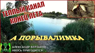 А порыбалимка 17/21г. Теплый канал, конец лета.