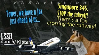 [REAL ATC] Singapore A380 forced to reject takeoff | FOX ON THE RWY!