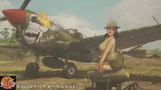 Eduard 1/32 P-40N Warhawk review
