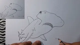 ¿Cómo dibujar un pez martillo? | How to draw a hammerhead fish?