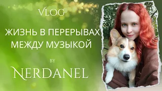 ЖИЗНЬ В ПЕРЕРЫВАХ МЕЖДУ МУЗЫКОЙ