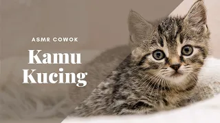 Kamu Kucing | Majikan | ASMR Roleplay Indonesia
